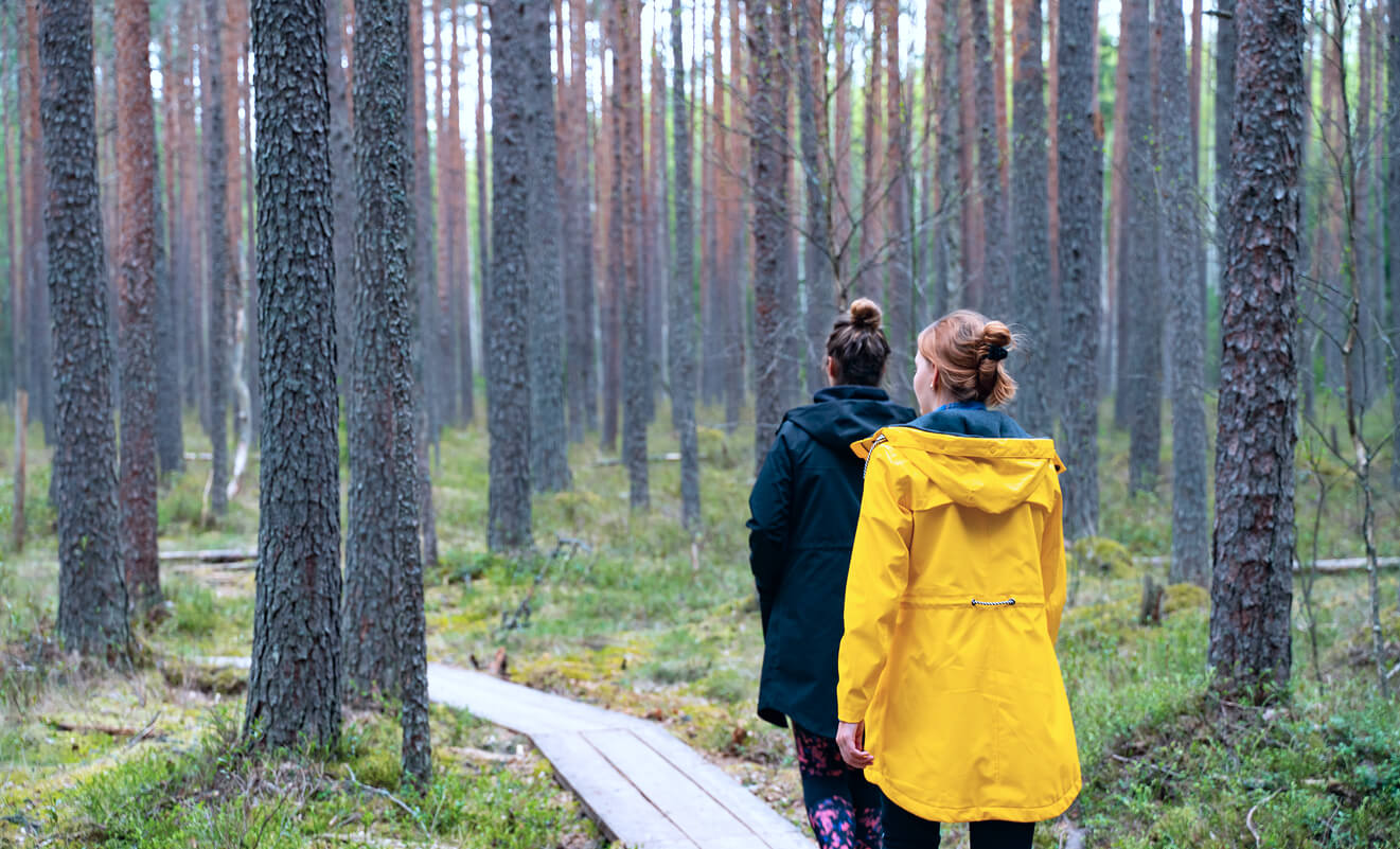 Miniatyyrikuva kahdesta henkilöstä kävelemässä metsässä – raikasta ilmaa ja luonnon hyvinvointia astman kanssa.